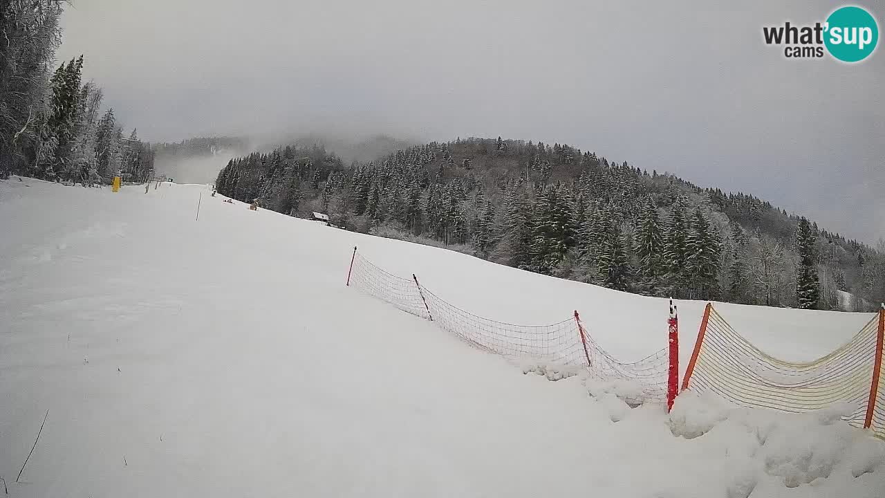 Ski Kranjska Gora | Brsnina