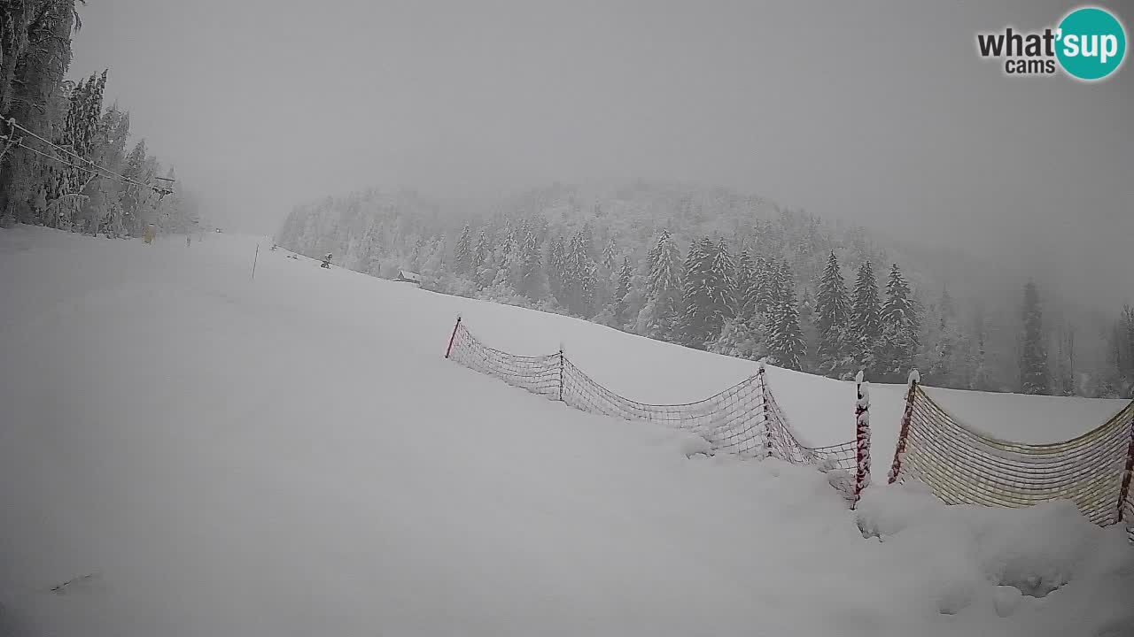 Comprensorio sciistico Kranjska Gora | Brsnina