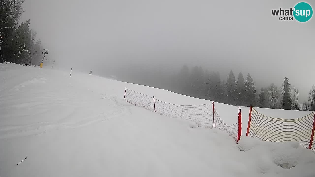 Kranjska Gora Station de ski | Brsnina