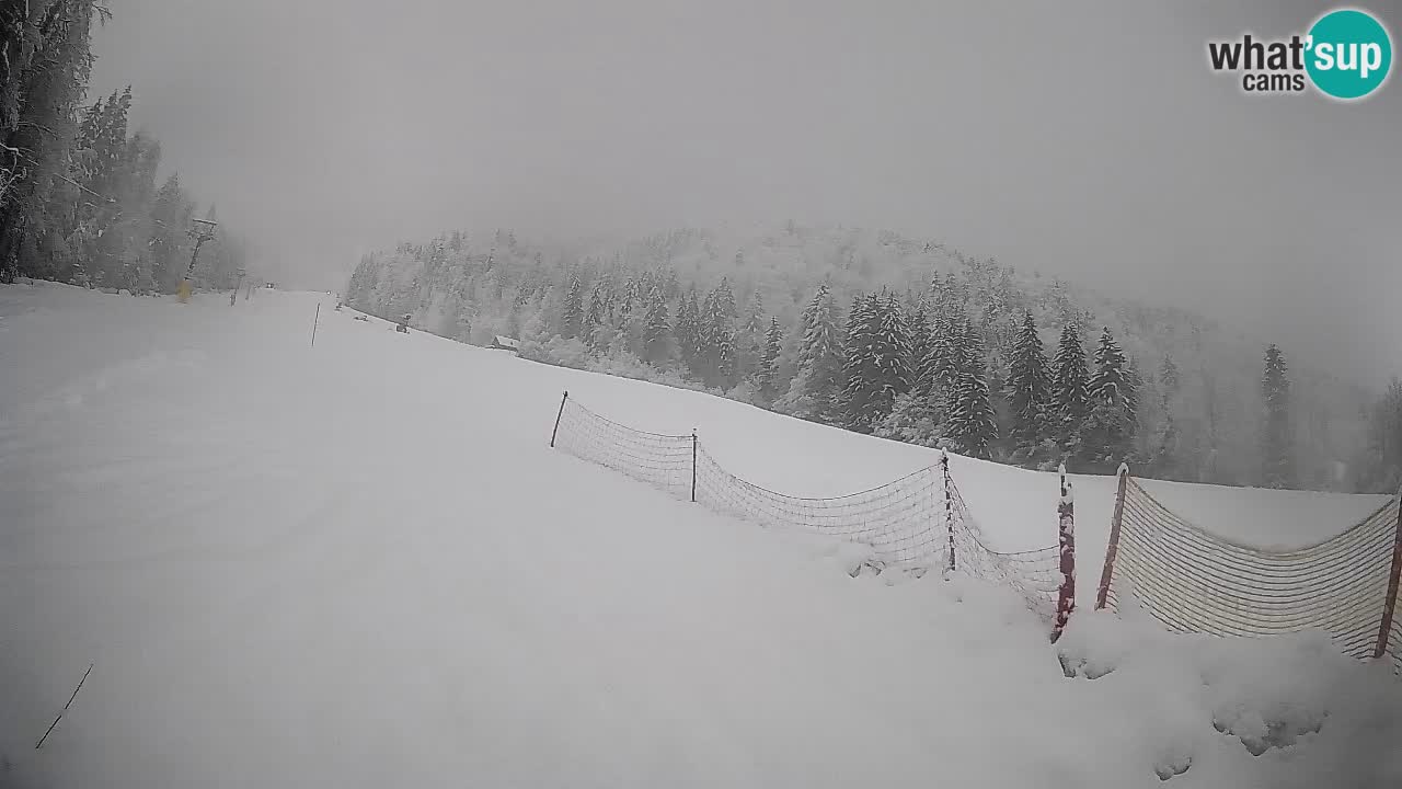 Kranjska Gora SKIJANJE | Brsnina
