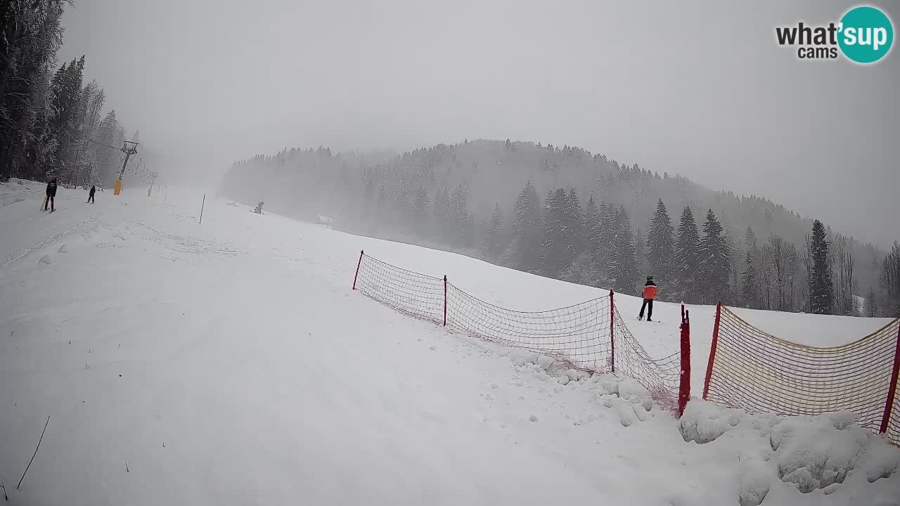 Comprensorio sciistico Kranjska Gora | Brsnina