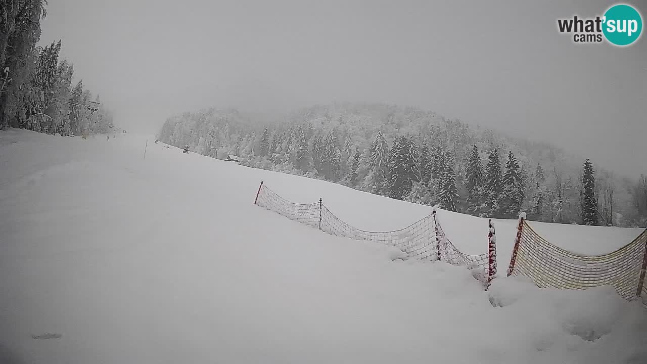 Esquí Kranjska Gora | Brsnina