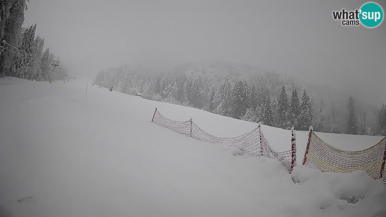 Kranjska Gora Station de ski | Brsnina