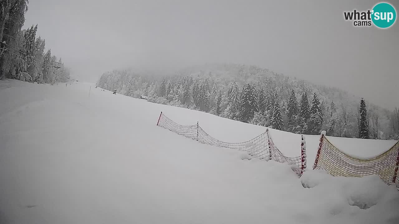 RTC Skigebiet Kranjska Gora | Brsnina