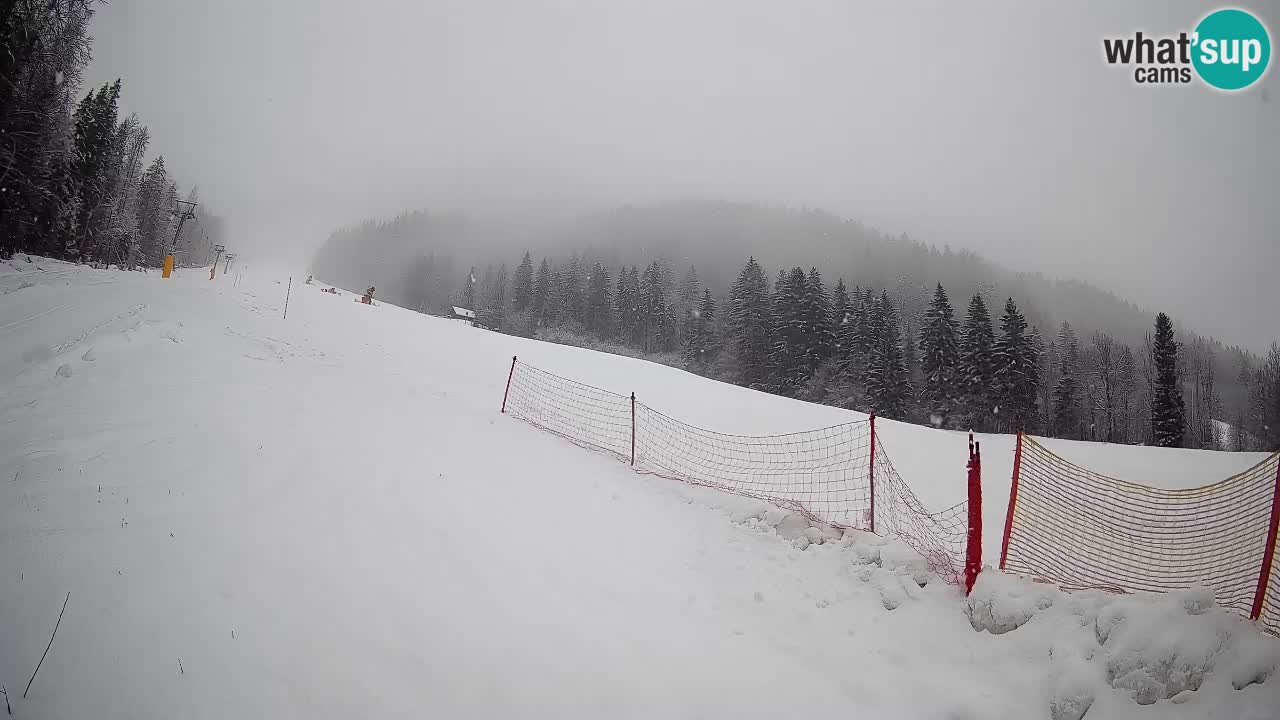 Comprensorio sciistico Kranjska Gora | Brsnina