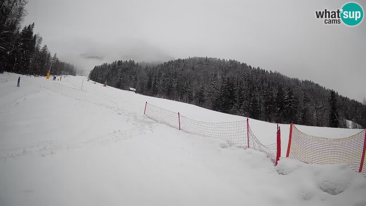 RTC Kranjska Gora | Brsnina