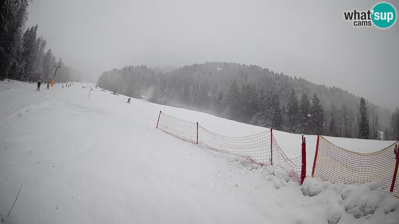 RTC Kranjska Gora | Brsnina
