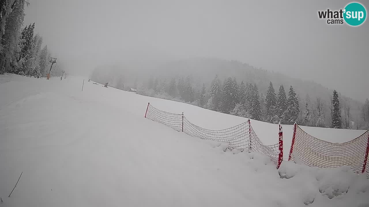 Ski Kranjska Gora | Brsnina