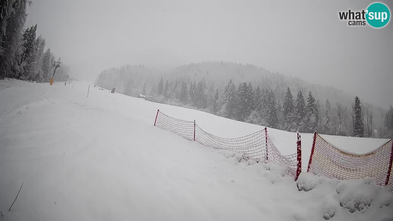 RTC Kranjska Gora | Brsnina
