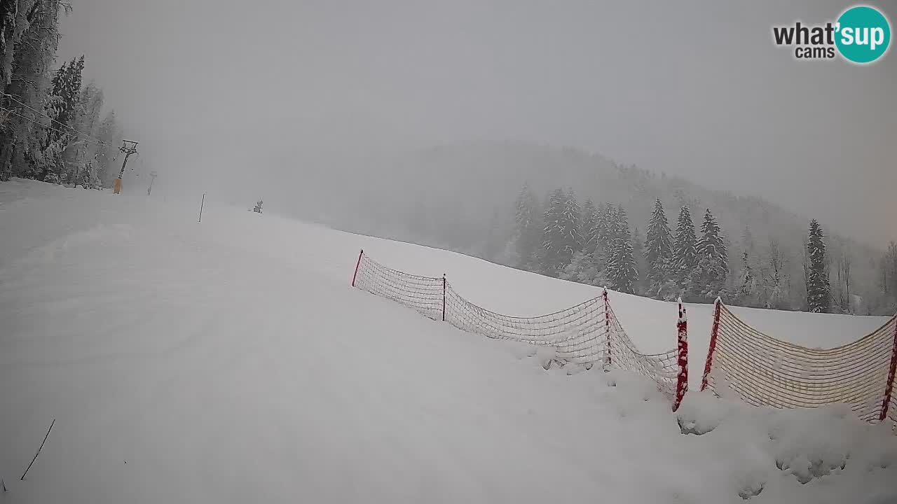 RTC Kranjska Gora | Brsnina