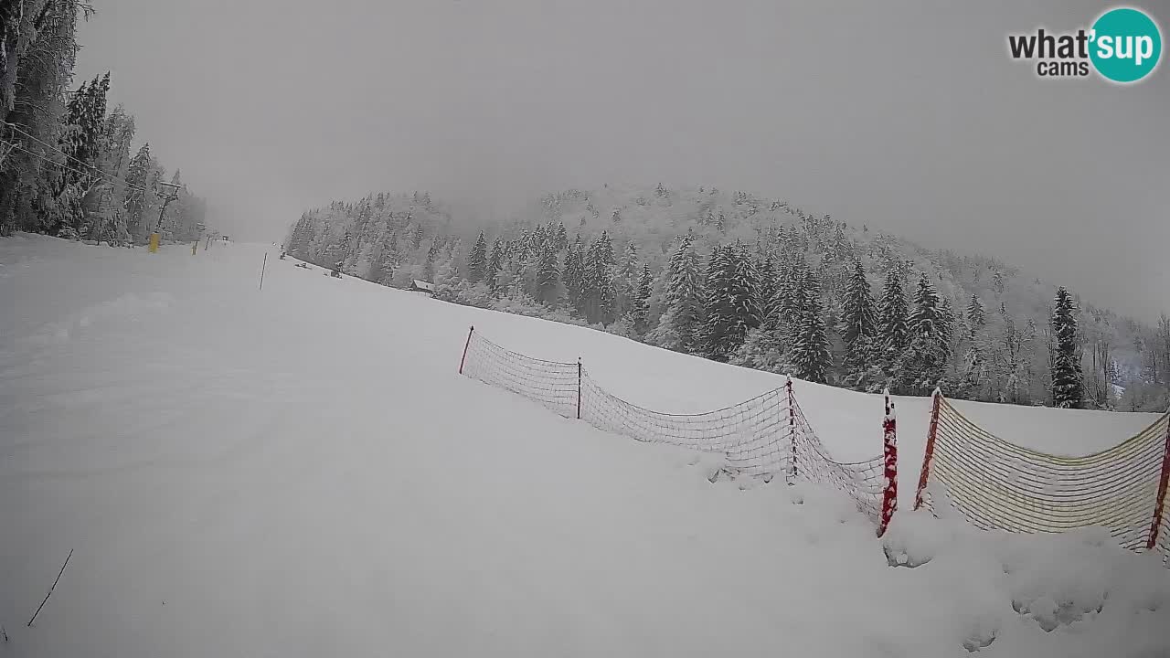 Kranjska Gora SKIJANJE | Brsnina