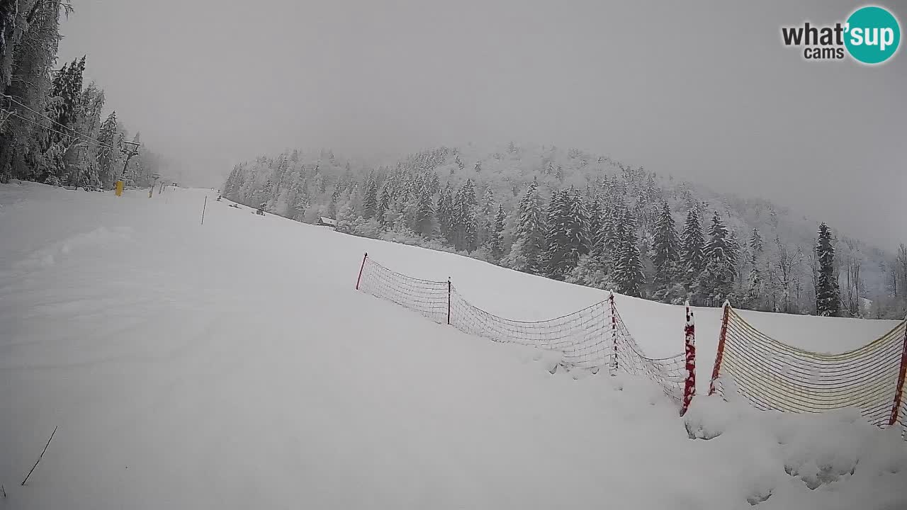RTC Skigebiet Kranjska Gora | Brsnina