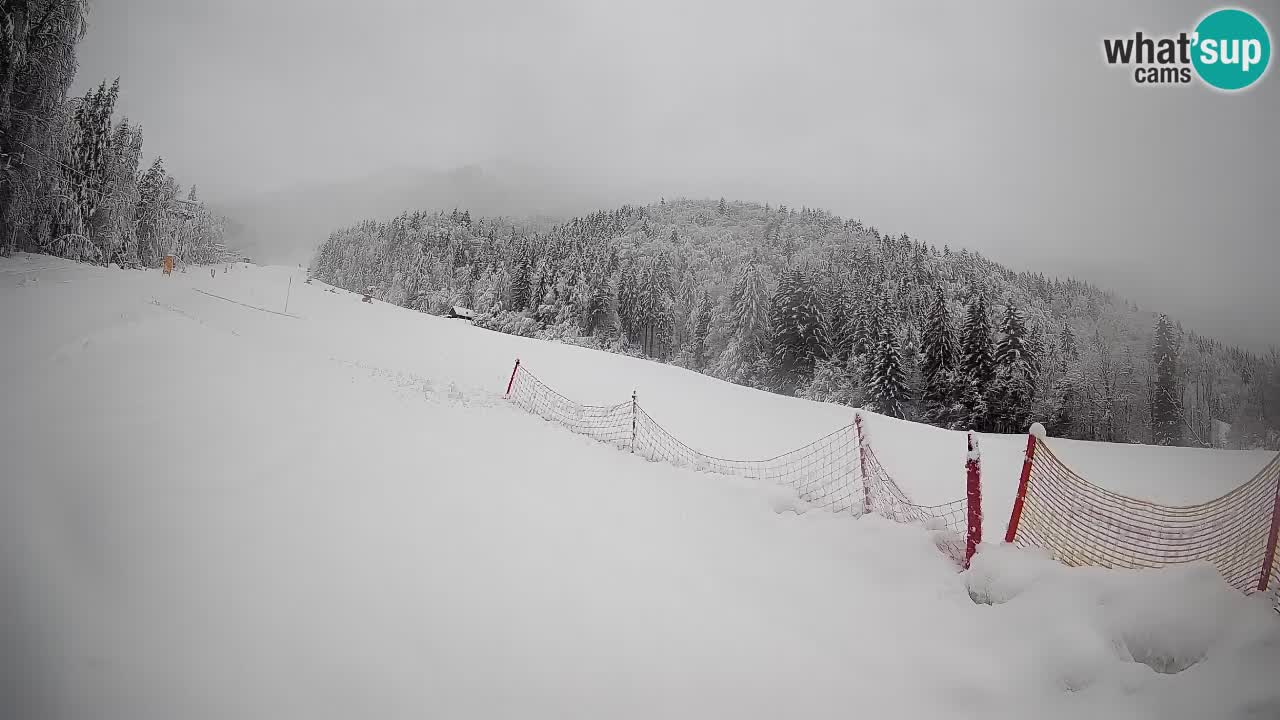 Ski Kranjska Gora | Brsnina