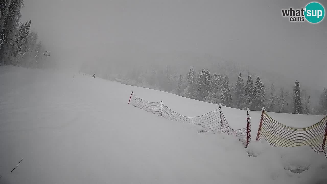 Kranjska Gora SKIJANJE | Brsnina