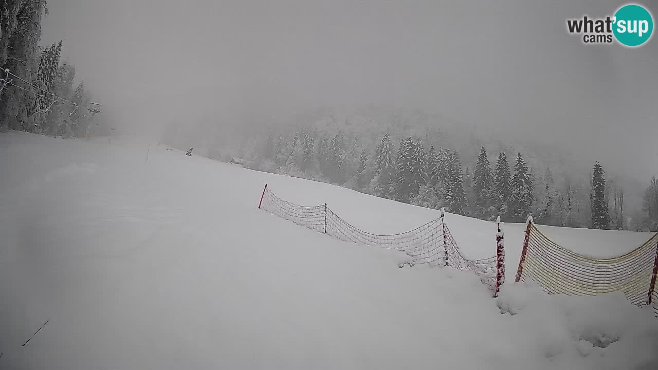 Esquí Kranjska Gora | Brsnina