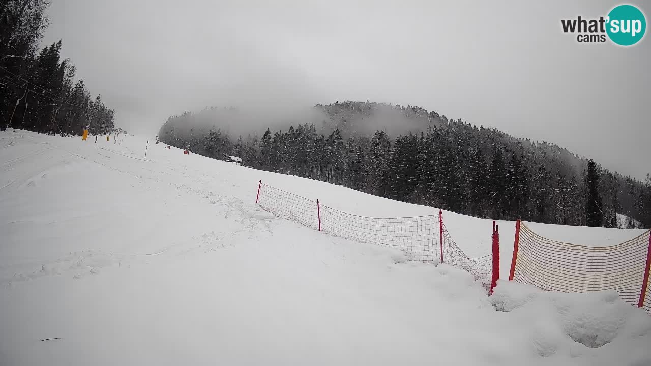 Comprensorio sciistico Kranjska Gora | Brsnina