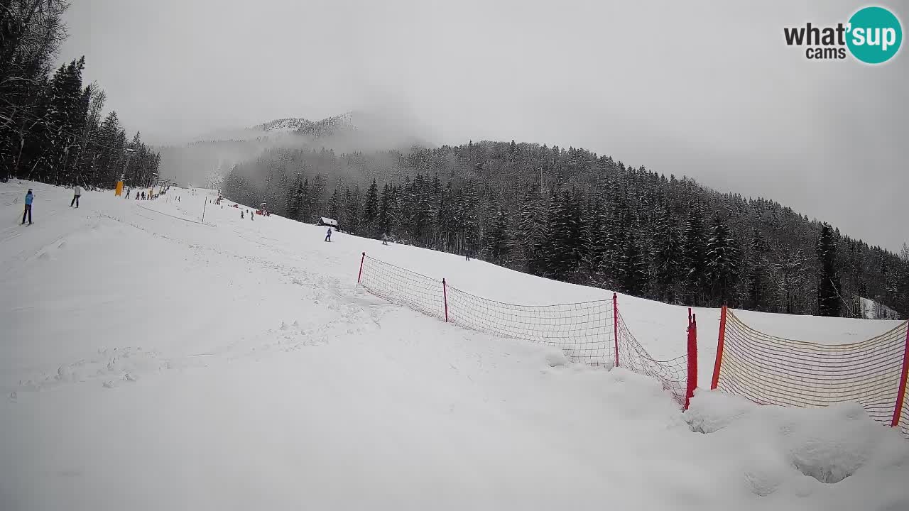 Kranjska Gora Station de ski | Brsnina
