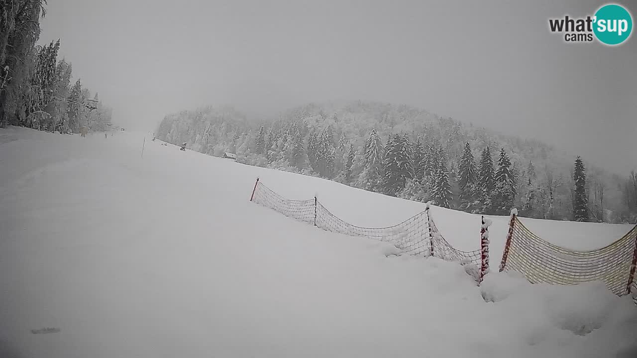 Kranjska Gora SKIJANJE | Brsnina
