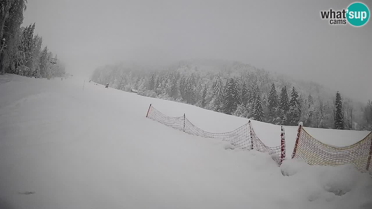 RTC Skigebiet Kranjska Gora | Brsnina