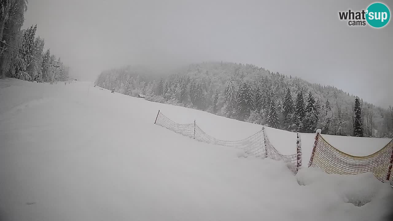 Esquí Kranjska Gora | Brsnina