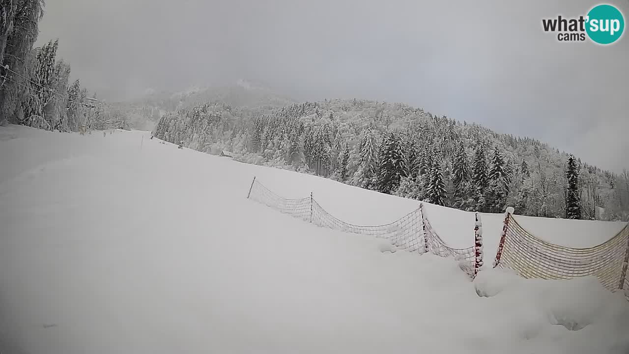 Esquí Kranjska Gora | Brsnina