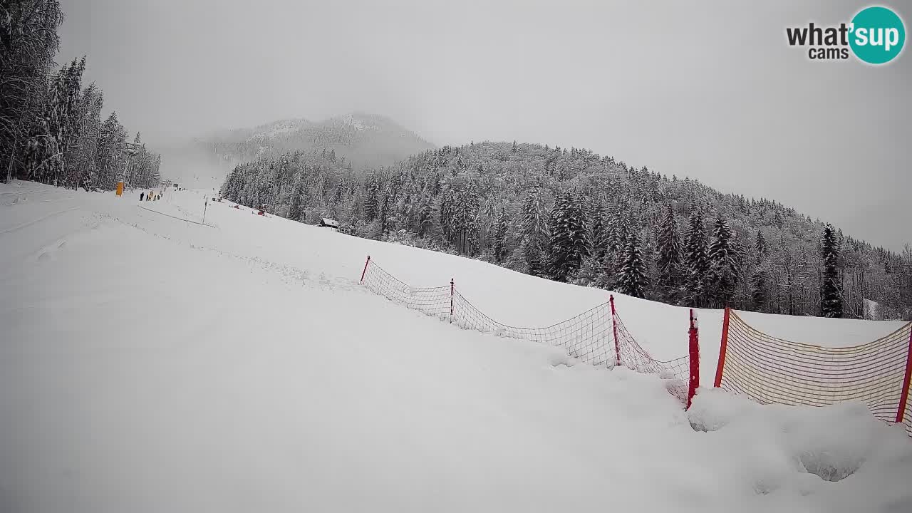Ski Kranjska Gora | Brsnina