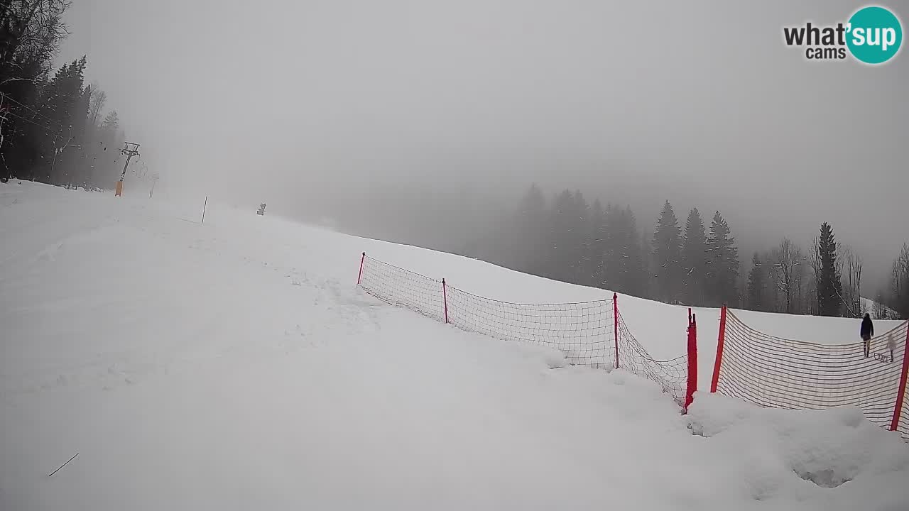 RTC Kranjska Gora | Brsnina