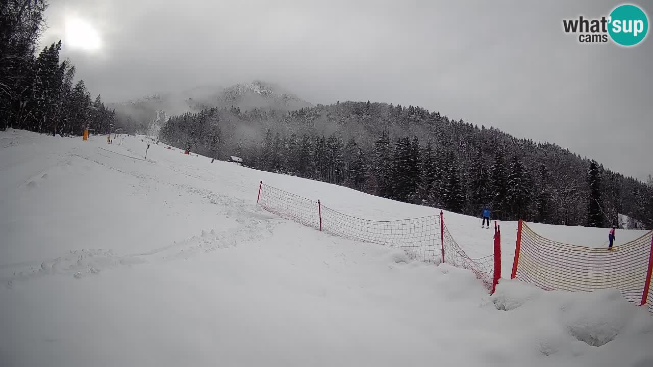 Comprensorio sciistico Kranjska Gora | Brsnina