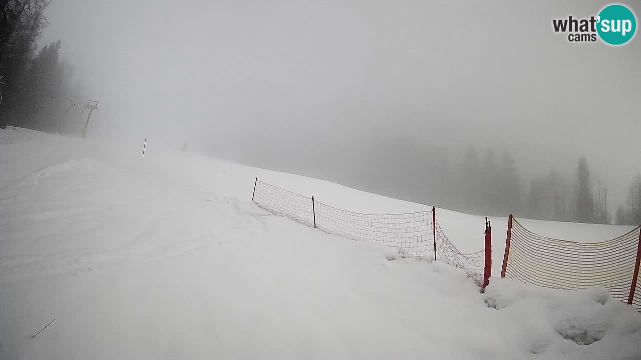 RTC Kranjska Gora | Brsnina