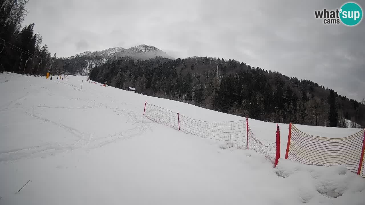 RTC Skigebiet Kranjska Gora | Brsnina