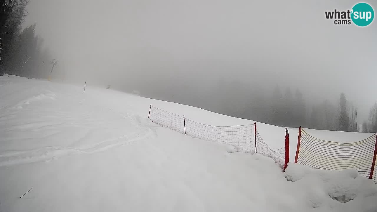 Comprensorio sciistico Kranjska Gora | Brsnina