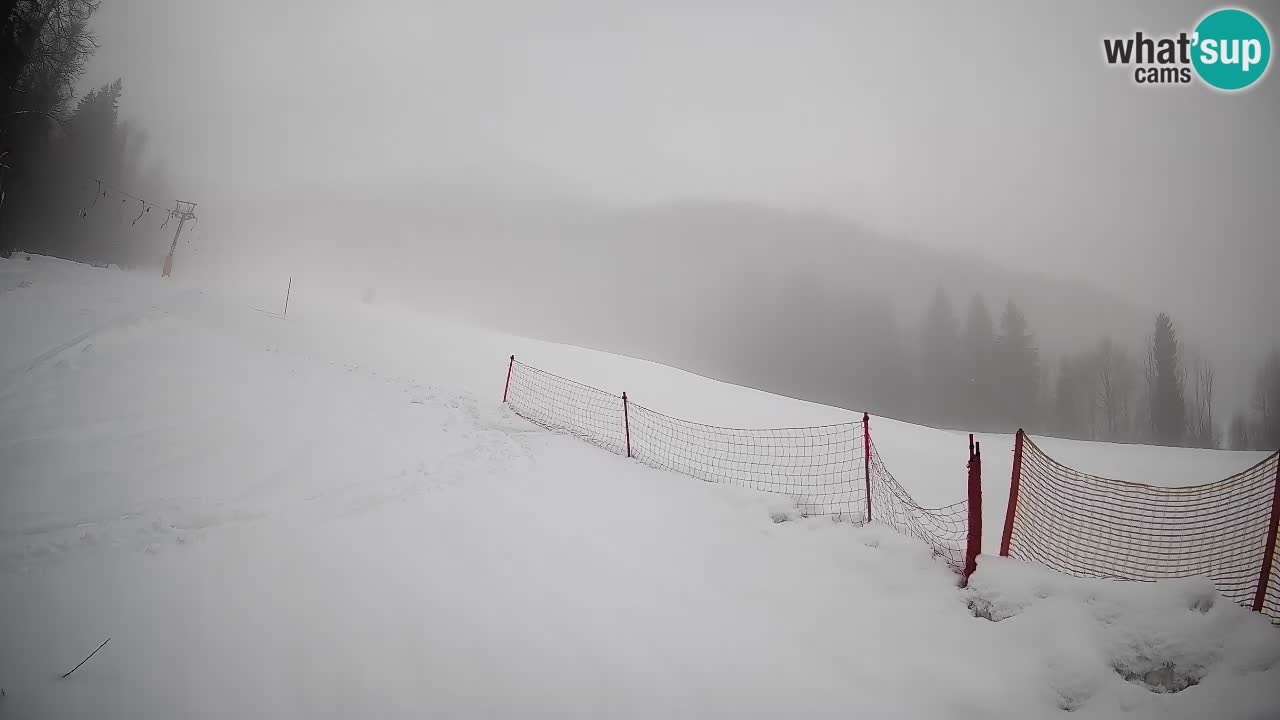 Comprensorio sciistico Kranjska Gora | Brsnina