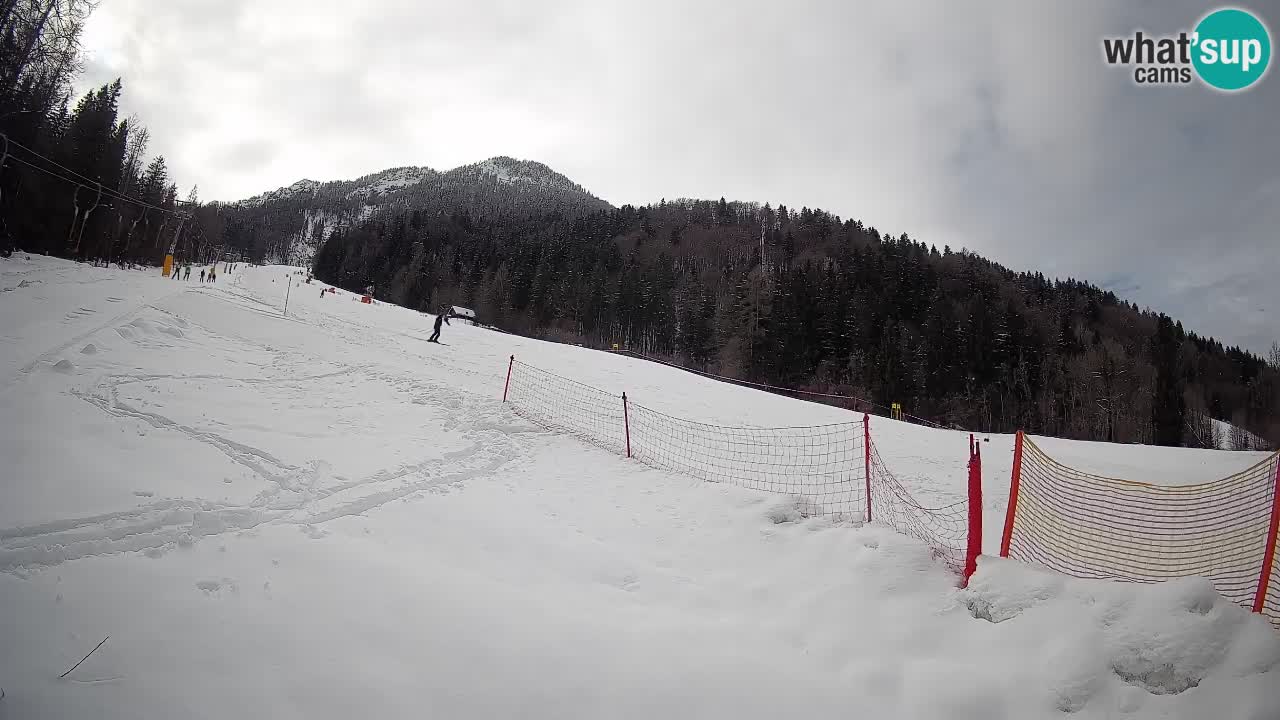 RTC Skigebiet Kranjska Gora | Brsnina