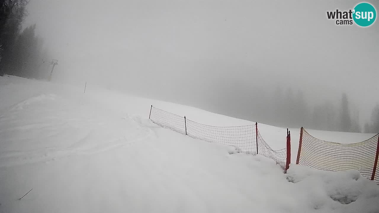 RTC Skigebiet Kranjska Gora | Brsnina