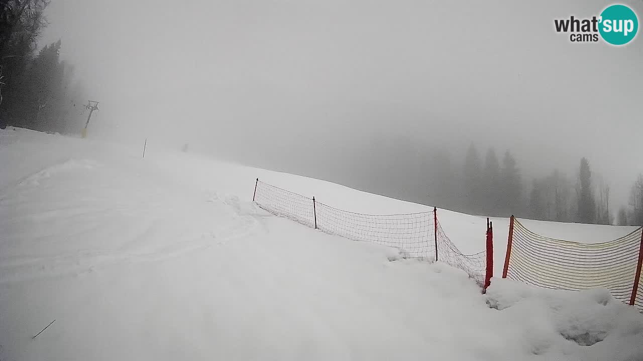 Ski Kranjska Gora | Brsnina