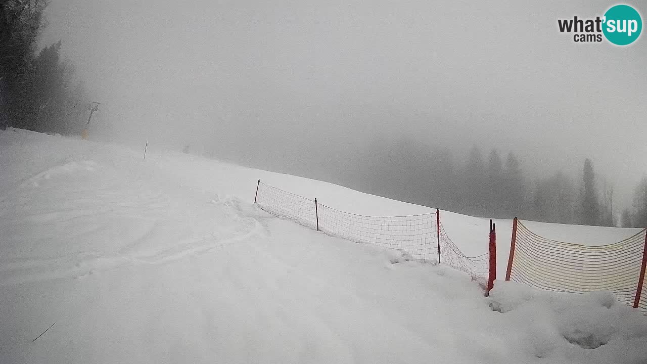 RTC Skigebiet Kranjska Gora | Brsnina