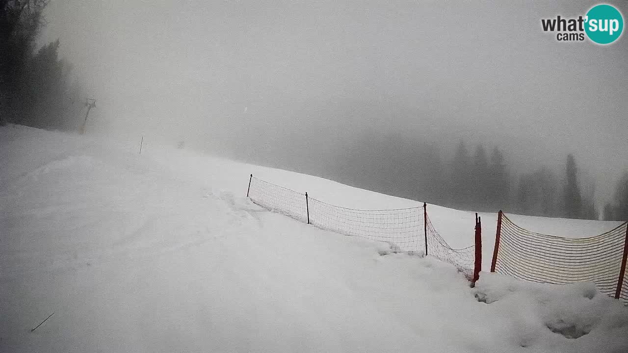 Kranjska Gora Station de ski | Brsnina