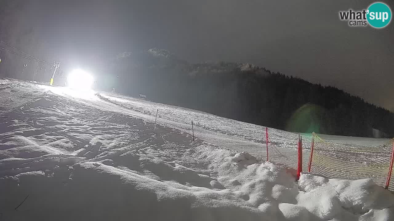 RTC Kranjska Gora | Brsnina