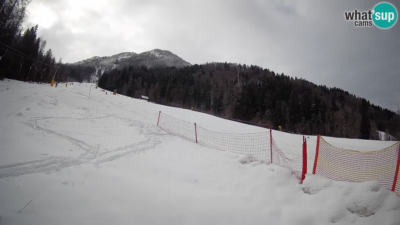 Comprensorio sciistico Kranjska Gora | Brsnina