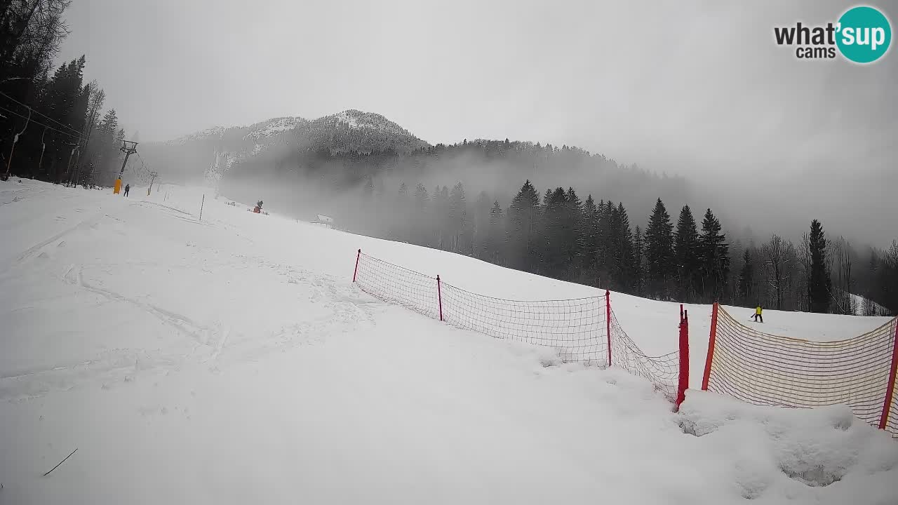 Kranjska Gora Station de ski | Brsnina