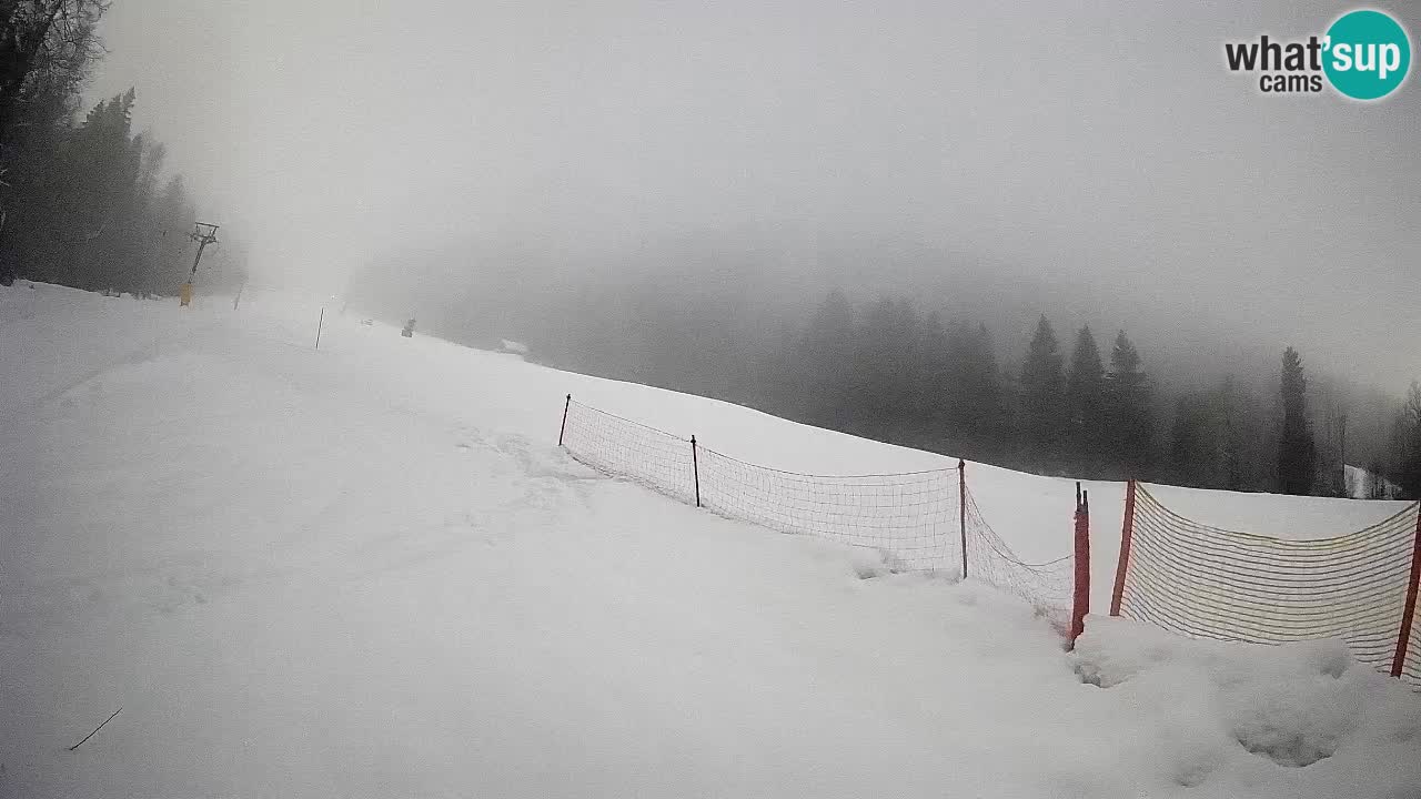 RTC Skigebiet Kranjska Gora | Brsnina