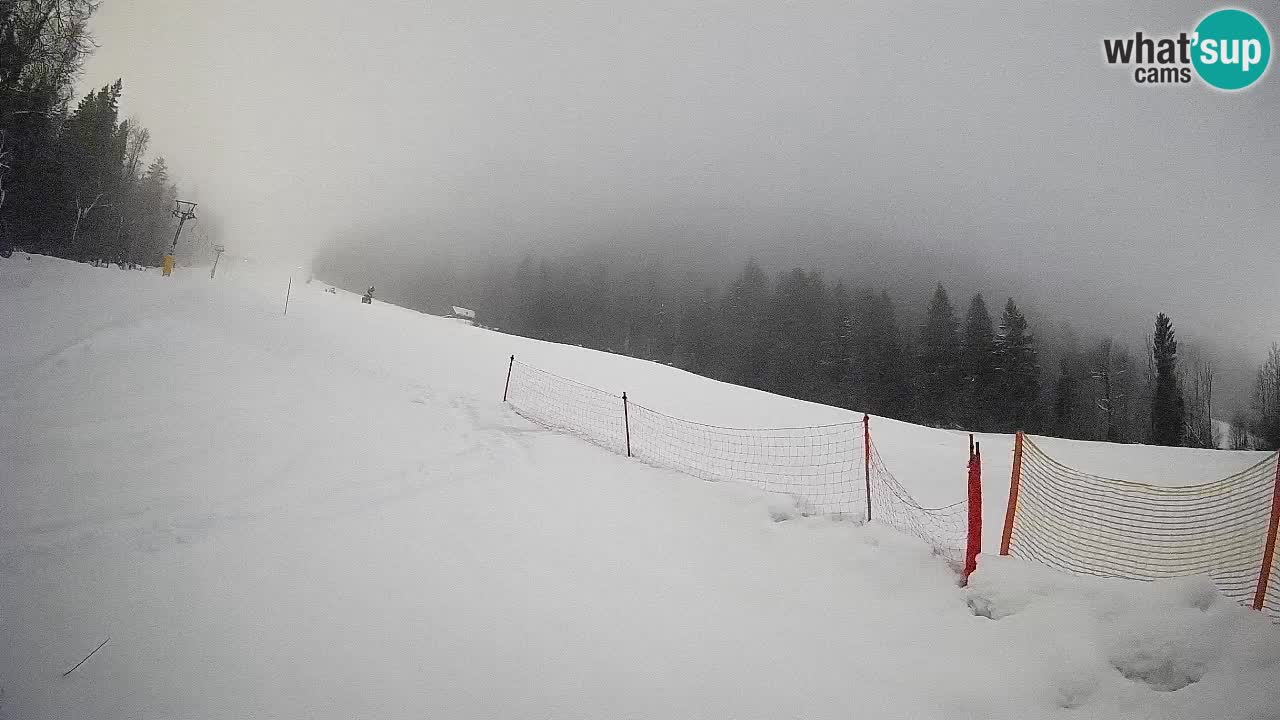 Esquí Kranjska Gora | Brsnina