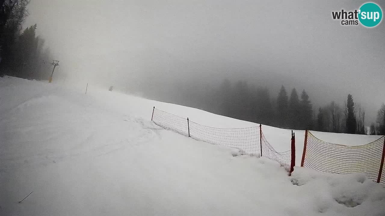 RTC Skigebiet Kranjska Gora | Brsnina