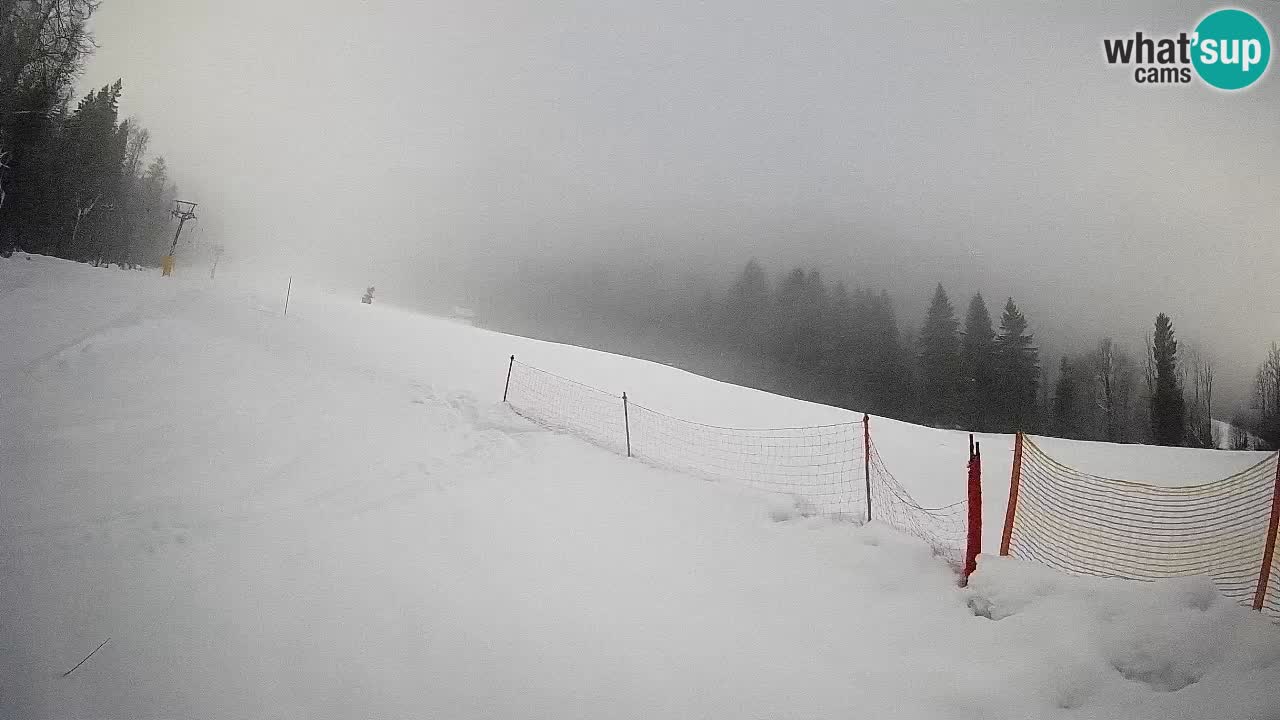 Kranjska Gora Station de ski | Brsnina