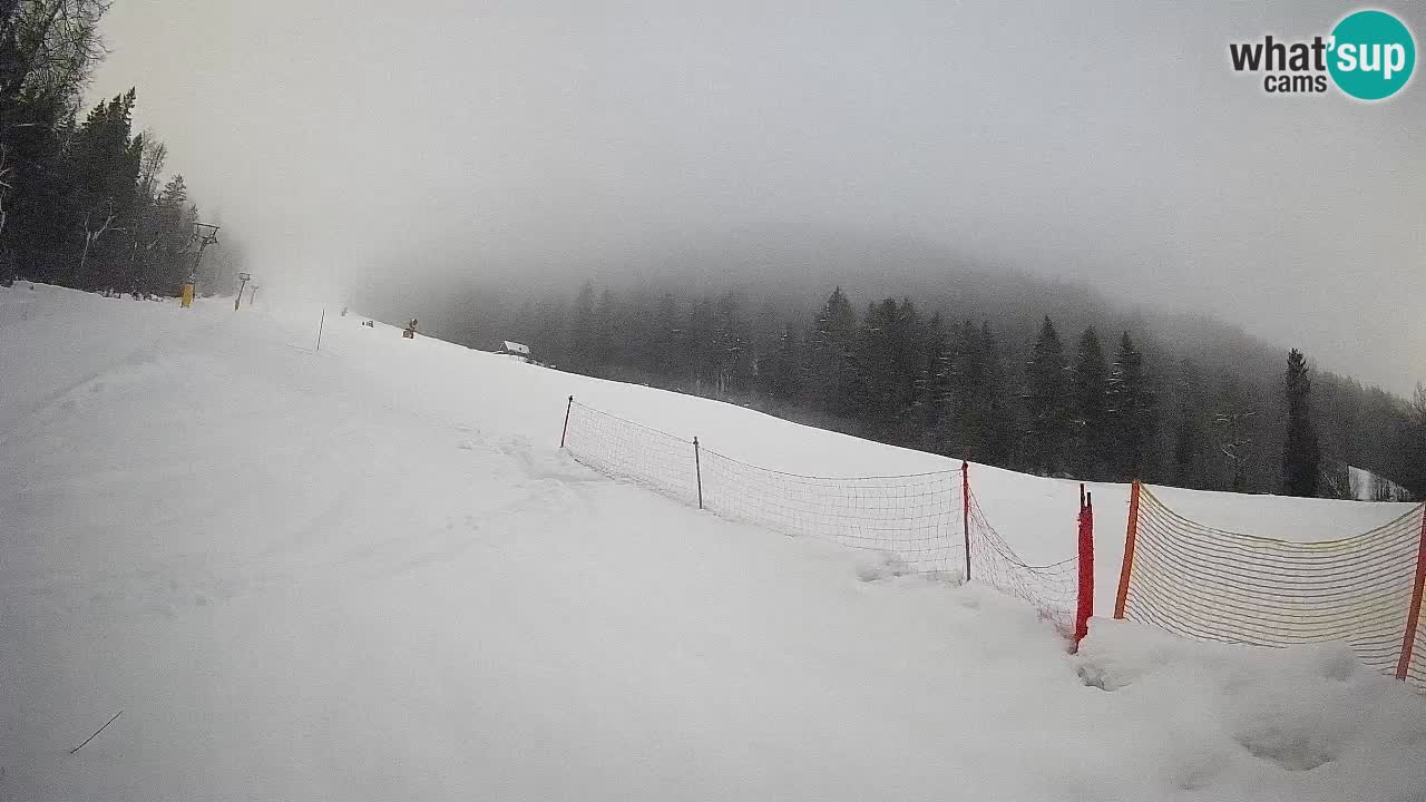 RTC Skigebiet Kranjska Gora | Brsnina