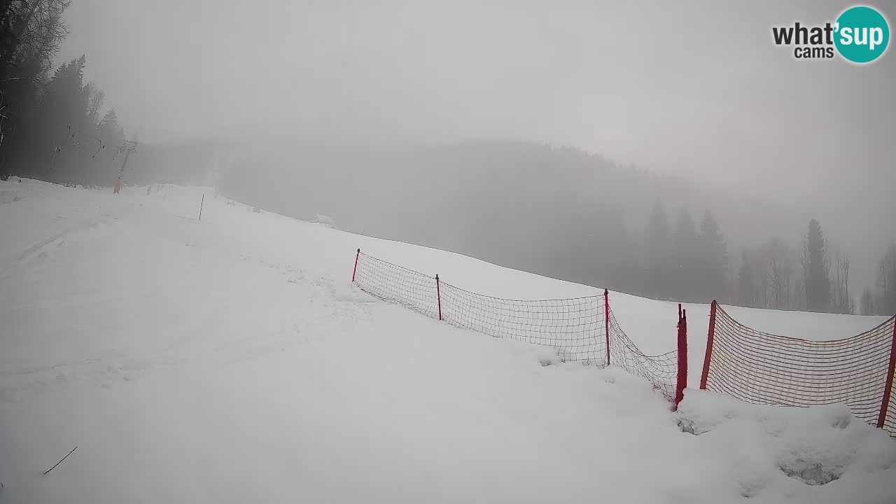 Kranjska Gora SKIJANJE | Brsnina