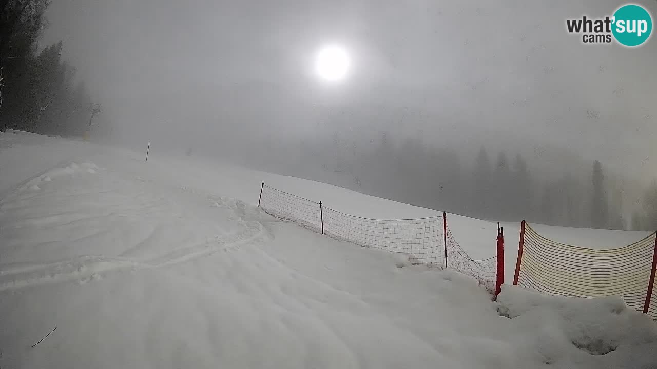 Comprensorio sciistico Kranjska Gora | Brsnina