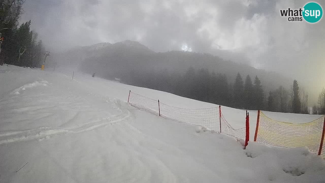 RTC Skigebiet Kranjska Gora | Brsnina