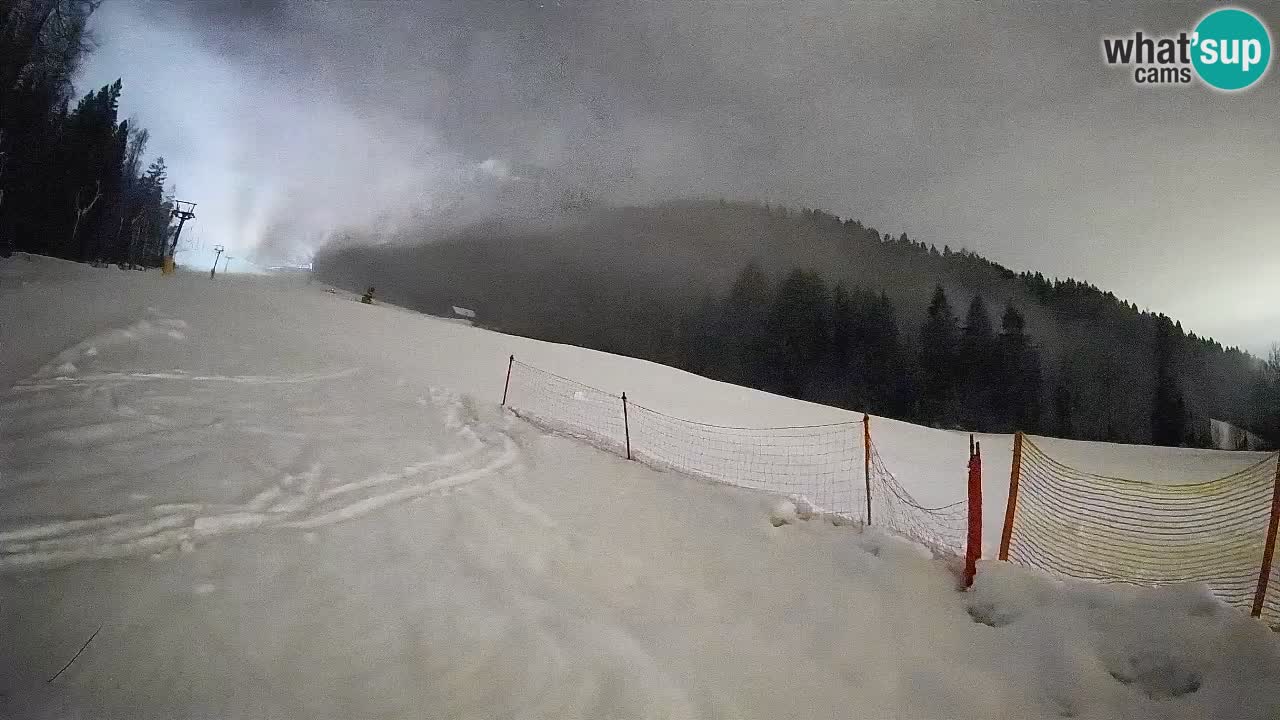 Kranjska Gora SKIJANJE | Brsnina