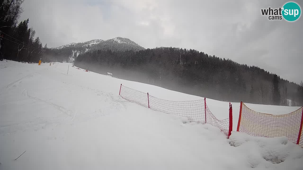 Ski Kranjska Gora | Brsnina